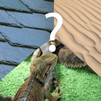 Bearded dragon substrate decisions